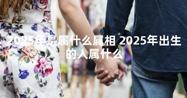 2025年是属什么属相 2025年出生的人属什么